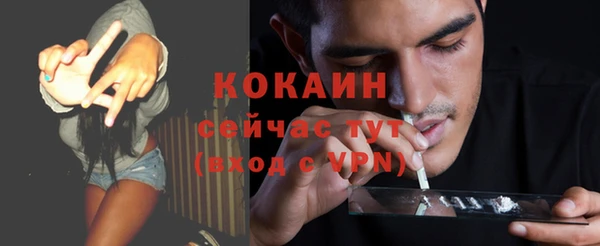 СК Алексин
