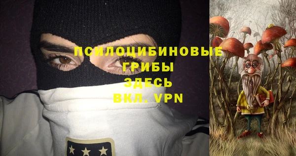 гашик Алзамай