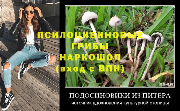 гашик Алзамай