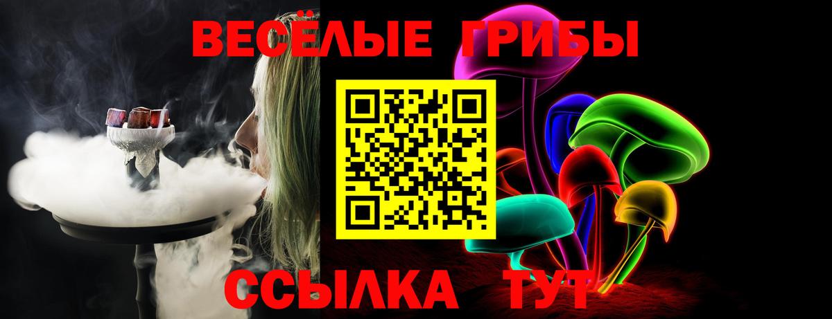 Галлюциногенные грибы мицелий Черемхово